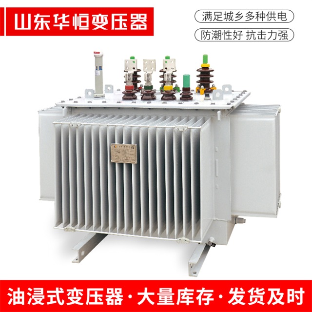 S13-10000/35洪江洪江洪江电力变压器